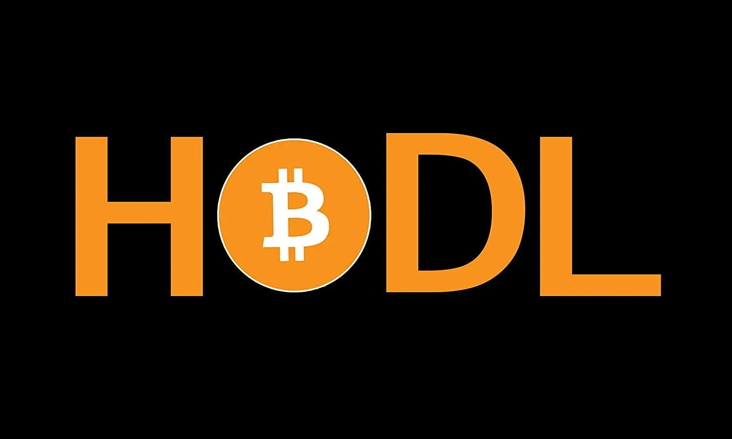 Hodl day: un errore di battitura diventato un simbolo della comunità Bitcoin