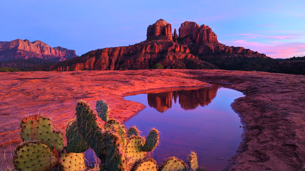 Arizona: the House approves the creation of a Bitcoin reserve with seized  funds